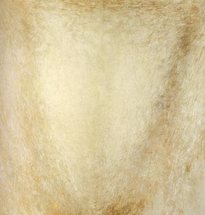 Renate Kornacker, 'Gewand', 1995, Ei-Öl-Tempera auf Baumwolle, 190 x 190 cm